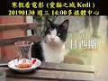 愛貓之城 kedi 20190130寒假天天看電影 新進館藏 20190111 0215成大圖書館多媒體中心