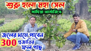 সাদিয়া নার্সারিতে শুরু হলো ফল গাছের সেল  || জলের দামে পাবেন 300 ভ্যারাইটির ফল গাছ | Sadia Nursery |