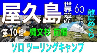 屋久島『世界自然遺産』、縄文杉登山に行ってきた。　第10話、屋久島5日目。鹿児島県の離島をソロツーリングキャンプ。クロスカブで旅をします。