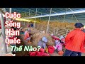 Cuộc Sống Hàn Quốc Là Đây | Sinh Vlog