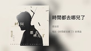 张信哲 - 时间都去哪儿了歌词