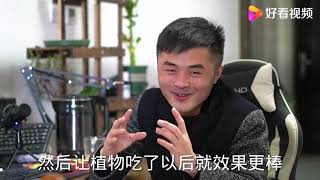 老花医回答花友奇怪花卉问题，花友你的问题上榜了吗？（下）