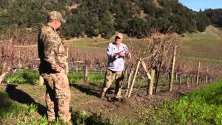 Wine Vineyard Tour at Lago di Merlo