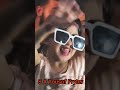 Anika new viral tiktok video or roasting 2022❤️❤️❤️❤️#shorts