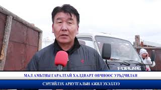 05 11 МАЛ АМЬТНЫ ГАРАЛТАЙ ХАЛДВАРТ ӨВЧНӨӨС УРЬДЧИЛАН СЭРГИЙЛЭХ АРИУТГАЛЫН АЖИЛ ЭХЭЛЛЭЭ