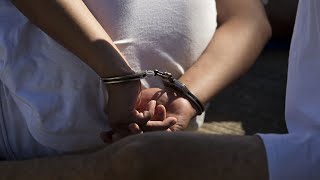 ‘Getting rid of the bad guys’: US murder rates drop a staggering 20 per cent under Trump