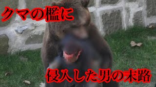 【閲覧注意】クマの檻に侵入した人々３選