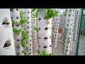 aquaponics systems tour in kenya