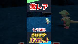 改造バグレベル！？1/1365000の色違いが出たぞ【ポケモンSV】 #shorts