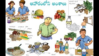 Class 6, General Science, Components of Food, Vitamins \u0026 Minerals 6 వ తరగతి, సామాన్య శాస్త్రం P02