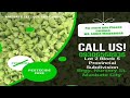 lollo bionda lettuce variety i seeds germination process i