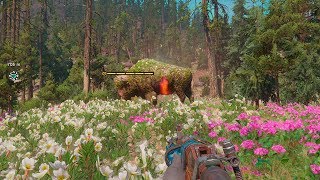 Far Cry New Dawn | Xbox One X 4K | Free Roam Gameplay