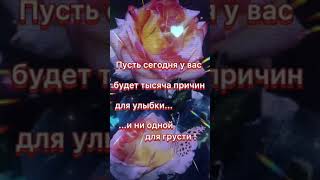 ВСЕМ ДОБРОГО УТРА И ХОРОШЕГО НАСТРОЕНИЯ!🌺