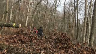 Badlands ZXR 12000 : log skidding / logging / pulling trees