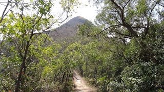 大圍針山跨沙田