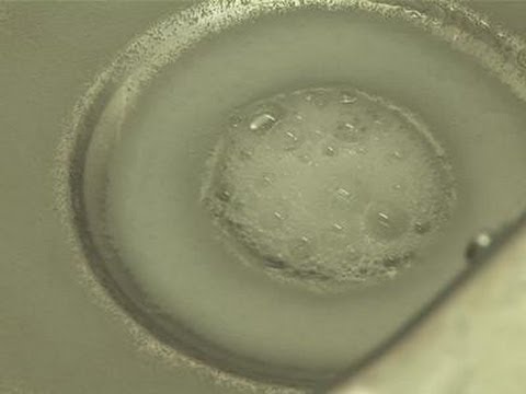 How To Clean A Smelly Sink How To Clean A Smelly Sink