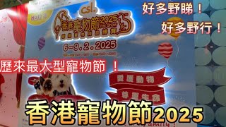 香港寵物節2025🐱🐶歷來最大型寵物節👍帶大家逛逛 值得一去 #香港好去處 #香港市況