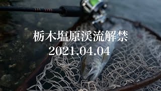 【渓流釣り】2021.04.04 栃木渓流釣行【塩原渓流解禁】