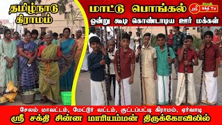 சேலம் மாவட்டம், மேட்டூர் வட்டம், குட்டப்பட்டி, ஏர்வாடி மாட்டுப்பொங்கல், ஏறுதழுவுதல் #mettur #pongal