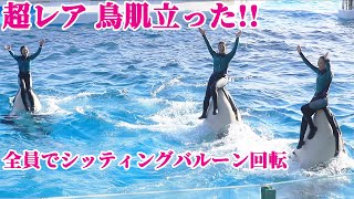 【神回】超レア!!全員シッティングバルーン回転♥ 鴨川シーワールド シャチショー KamogawaSeaWorld  orca killerwhale