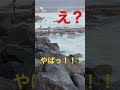 オーストラリア 日本 海外 旅行 パスポート メルボルン ゴールドコースト 東京 海外旅行 国内 フォロワー チャンネル登録 australia japan gold coast melbourn