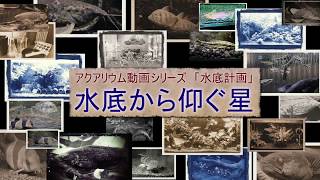 【ゆっくり・VOICEROID解説】水底計画　part0「方針説明」【アクアリウム】