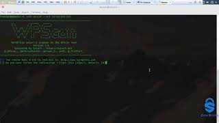 How To Use The WPScan vulnerability scanner For Wordpress sites