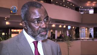 AEC 2014: Executive Chair of Mandela Institute for Development Studies interview (Addis Ababa)