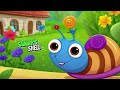 sammy s shell a snail s tale of adventure and home bedtime story for kids