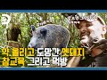 와! 이게 되네? 멧돼지 잡아먹고🔪 철기시대 등극!😲Ep.2 [고독한 생존가 : 고독한 가족]