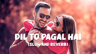 Dil To Pagal Hai (Slow and Reverb) Full Lofi Song | Love & Romantic song | 90's Song | NestMusicZ