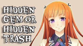 Hidden Gem or Hidden Trash - Some RPG Visual Novels?!