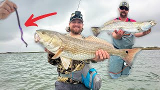 Wade Fishing For Trout and Reds | Slamming Reds On Texas Rigs | Coast Fishing