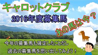 [一口馬主]キャロットクラブ2016年度募集馬　あの馬は今？