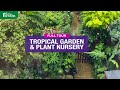 TOUR our Tropical Garden & Tropical plant nursery