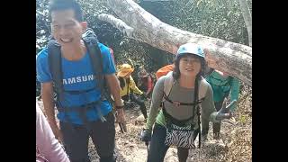 亞馬遜高山接駁（非假日自組）小百岳 暗影山