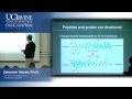 Introduction to Chemical Biology 128. Lecture 10. Proteins and Amino Acid Conformations.