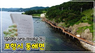 이육사의 청포도와 연오랑 세오녀 전설이 태어난 곳!│220728 전국시대 방송