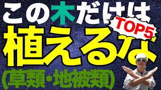 植えると危険【草類・地被編】TOP5　変わりの植木も