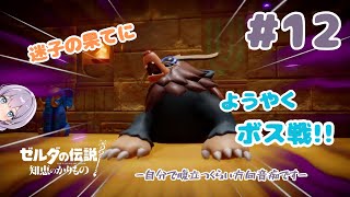 #12【ゼルダの伝説 知恵のかりもの】「モグラ変異種はあんまりそんなにそれほど可愛くなかったです。」