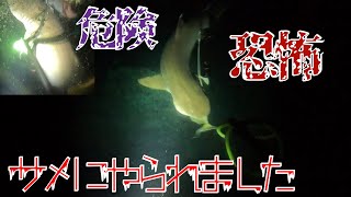 【超危険】夜の海でサメと闘いました・・・【素潜り魚突き】