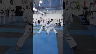 Sensei Luis MariaI Sanz | Highlights III