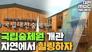 전국 광역시 최초 대전에 숲체험원/대전MBC