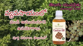 వ్యవసాయంలో ఆముదం నూనె ఉపయోగాలు ౹ castor oil uses in agriculture #agriculture #castoroilforhairgrowth