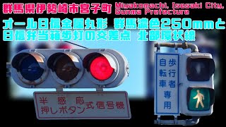 【信号機】群馬県伊勢崎市宮子町 オール日信金属丸形群馬濃色250㎜と日信弁当箱歩灯の交差点〈車灯更新済み、半感応式は定周期制御に変更済み〉