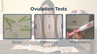 Calendar vs BBT vs Ovulation Test - Which is Best for You?