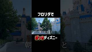 ディズニーワールドの貸切状態を味わえるレストラン #ディズニー #海外ディズニー #旅行