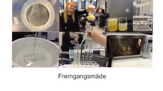 Enzymer+Bromelin  - Af Amalie, Mikkel \u0026 Thea