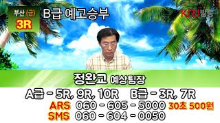 20190405 정완교의 싸이즈가 다른 방송 금요일 부산 경마예상방송