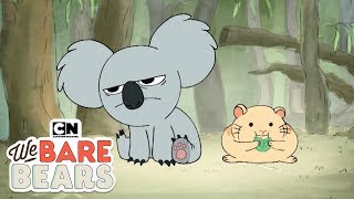We Bare Bears | Nom Nom vs Hamster (Hindi) | Minisode | Cartoon Network